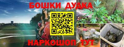 крисы Будённовск